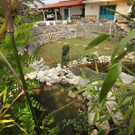 Salamander Guest house