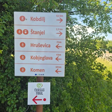 Salamander 3* Štanjel