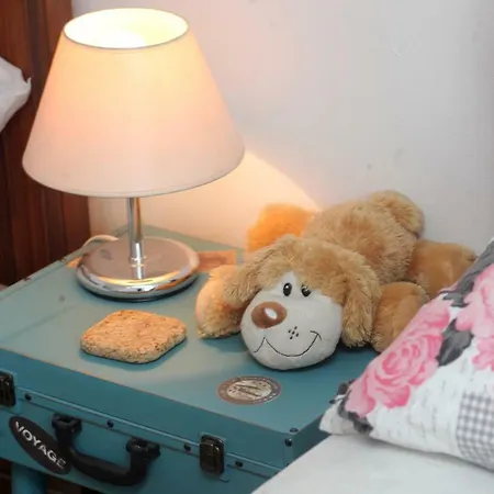 Guest house Salamander 2*