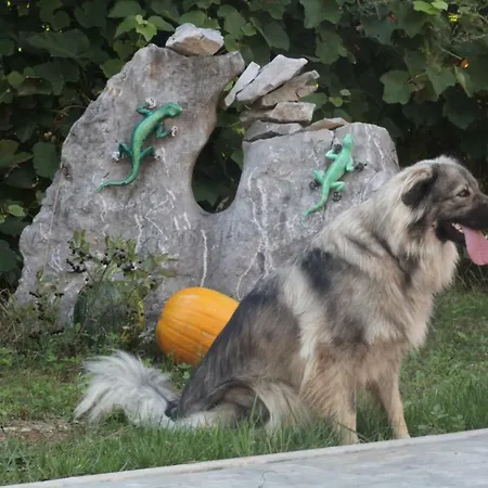 Salamander Štanjel