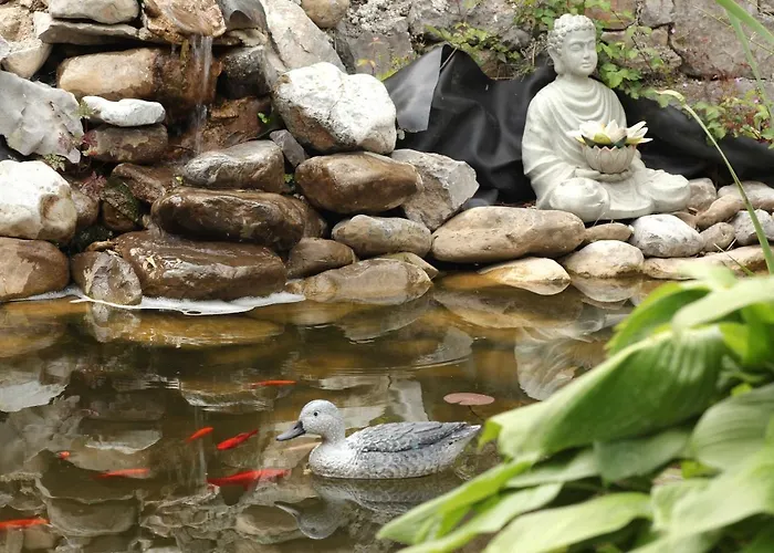 Salamander 3* Štanjel