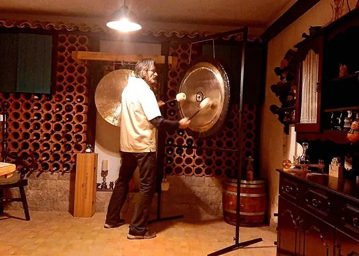 ゲストハウス Salamander 3*