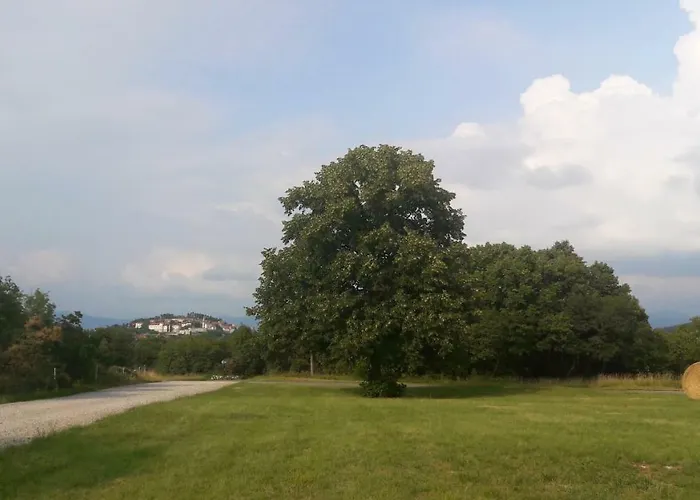 Salamander ゲストハウス 3*