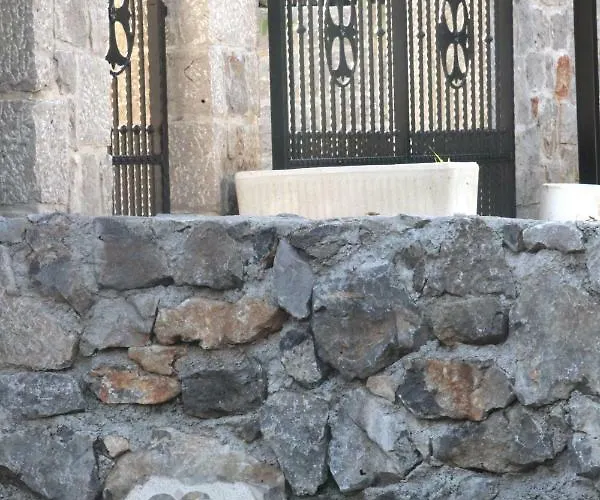 ゲストハウス Salamander