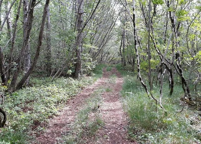 ゲストハウス Salamander